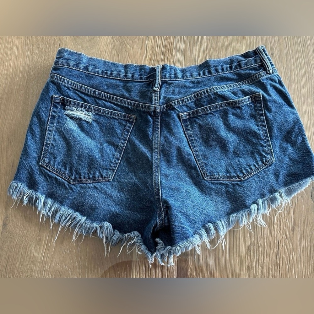 Free People Loving Good Vibrations Short Size 31